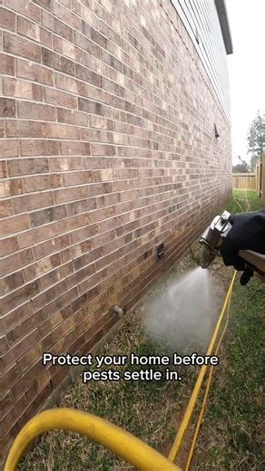 Effective Annual Pest Control Solutions in Houston