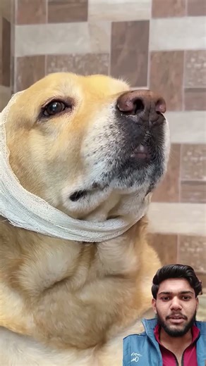 Accident prank on family 😂❤️ #shorts || Anant rastogi