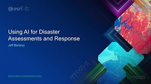 Using AI for Disaster Assessments and Response