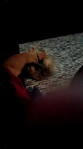 da big bomb (@explosive_soul)’s videos with original sound - da big bomb