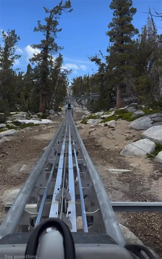 First time ive ever rode a Roller Coaster in the Mountains!!! #laketahoe the kids loved it | Baby Bash