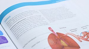 Watch Lifepac Homeschool Curriculum on Amazon Live