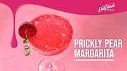 Prickly Pear Margarita Recipe Video | WebstaurantStore
