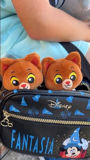 Disney Parks Aristocats Wishables!