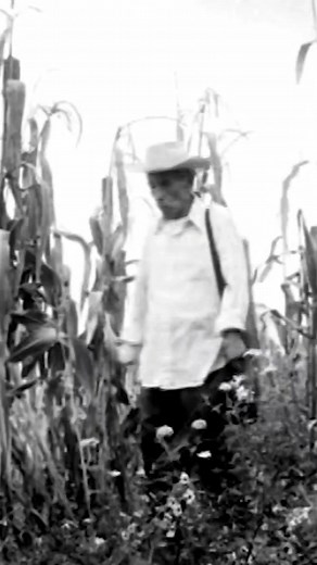 El Violín: Un Viaje Cinemático Mexicano