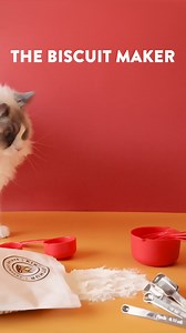 🐱 BRAND MEW Product Alert! 🔔The Biscuit Maker is the latest kittychen appliance on the meowket. With the latest 🐾 Toe Bean Technology, it produces fluffy biscuit in sizes ranging from "vury smol" to "much chonk". Available in the colors Regal Ragdoll (shown here), Calico Crumble, and Tuxedo Treat. Note: The One-Brain-Cell-Orange model failed inspection, and will be off the meowket until the brain cell is found. Adopt your own Biscuit Maker from King Arthur Baking here: BakeWith.Us/BiscuitMake