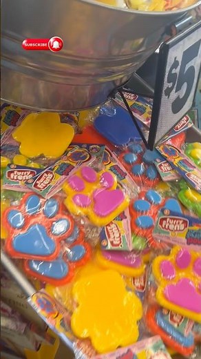 NeeDoh & Mystery Squishy Dumpling Hunt at Five Below right at opening 👀