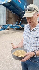 15.3%? GO GO GO 🗣️🗣️‼️ Farmers need to check the moisture content on their crops before they can harvest them 🌾 #BackBritishFarming | Back British Farming NFU