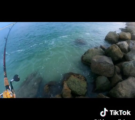 Summertime redfish #fish #fishing #saltwaterfishing #florida #redfish