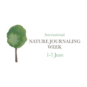 Next steps — Nature Journaling Week
