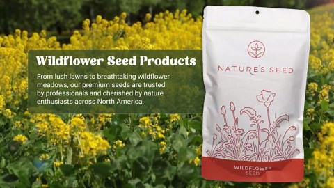 Nature’s Seed Orchardgrass, Pasture Grass Seed, Shade Tolerant, Cool-Season Perennial for Forage, Hay, Cattle, Grazing, 5 lbs