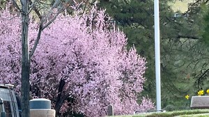 10K views · 528 reactions | Good Saturday morning to you from Yreka, California along the Klamath River, with your daily weather update as I’m on the road to Willows. Have a great weekend! | Adventures With Jeff Martinez | Facebook