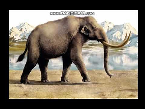 Steppe Mammoth Sounds