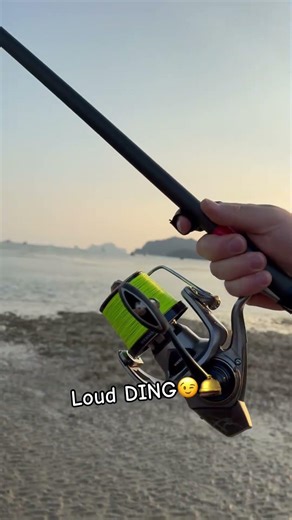 Loud DING 😉🛎️#carpcasting #surfcasting #tuition #DDAWNGFISHING