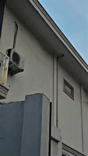 Canter Bos: The Ultimate Truck Modification