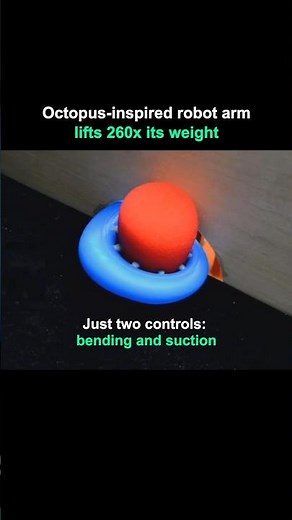 This Silicone Robot Arm Mimics Octopus Tentacles and Lifts 260x Times Its Weight