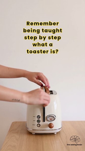 Cerebral / Cortical Visual Impairment - CVI - incidental learning meets intentional teaching