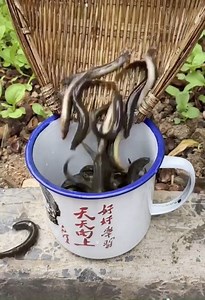 A Men Cooking Eating Foods Video ! | Real Life Singlemom