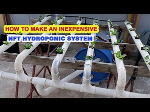 How to make a NFT Hydroponic System