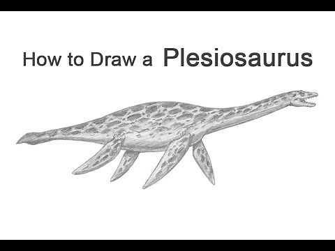 How to Draw a Plesiosaurus