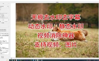 无痕去水印去字幕去杂物，简单易用，免费使用，视频消除神器V2.1