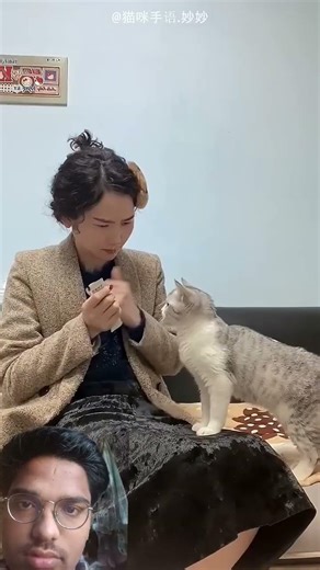 This cat learned sign language