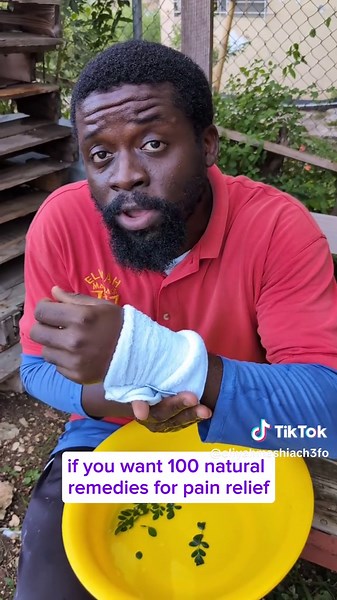 Moringa Leaves for Natural Pain Relief