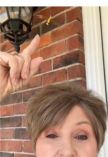 Effective Insect Repellent: Deter Flying Pests Easily