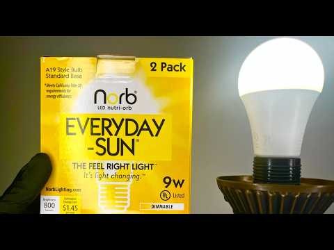 Norb Everyday Sun Unboxing & Color Temperature Reveal