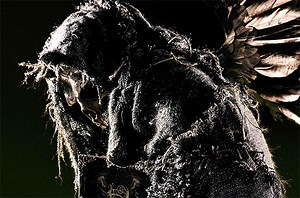 'ABC's Of Death 2' Red Band Trailer: Same Letters, More Violence And Very NSFW - SlashFilm