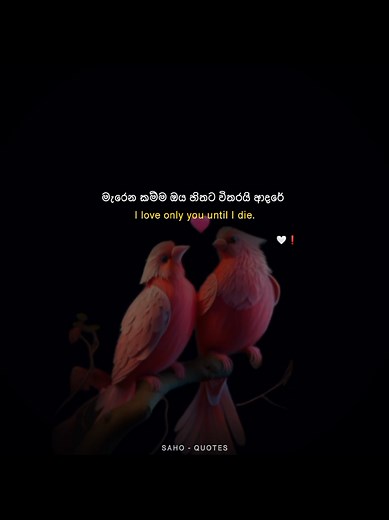 Romantic Sinhala Quotes for WhatsApp Status