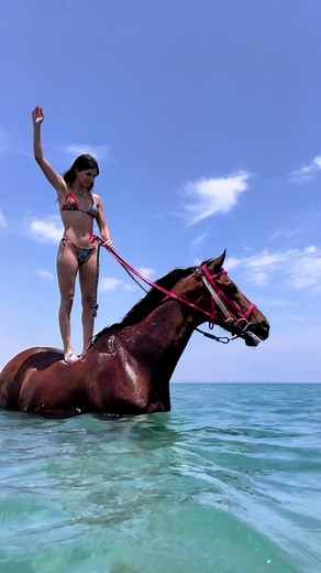 Riding a Horse in the Ocean: A Unique Beach Adventure