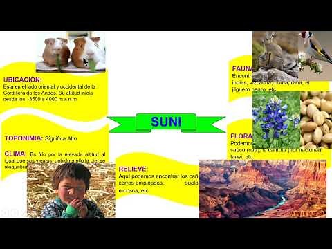 SIXTH: SUNI REGION