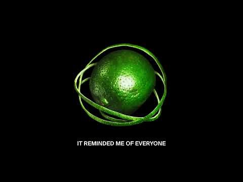 Big Thief - How Could I Have Known (Official Lyric Video)