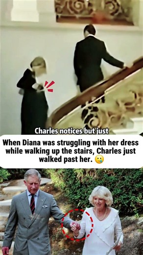 Do you hate Diana that much? #dianaspencer #kingcharles #trending