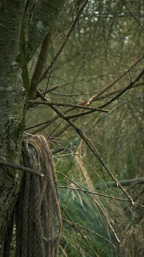 3.3M views · 10K reactions | How to setup a campfire quickly ! #survivor #survival #bushcraft #outdoor #skills #shelter #fyp #builder | Adventures camp | Facebook