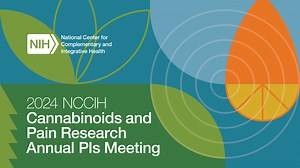 2024 NCCIH Cannabinoid Research Principal Investigators Meeting: Exploring the Mechanisms Underlying Analgesic Properties of Minor Cannabinoids and Terpenes