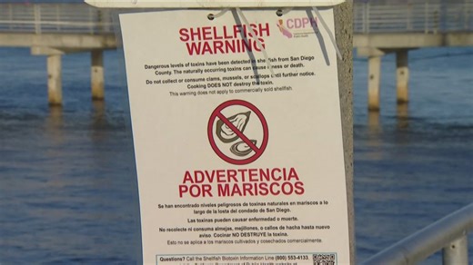 Health officials warn against eating recreationally caught shellfish in San Diego County