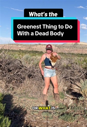 🌱What’s the greenest thing to do with a dead body? 🤔It’s always contextual. ♻️Sometimes it’s best to just leave the carcass, bones, and other remains where they are, so they can return to nature. No interfering required. 💭But that’s not always the case. Can you think of times where you should or shouldn’t do the “above ground burial” method? #LearnBiologyOnTikTok #biology #sustainability #STEM #environmentallyfriendly