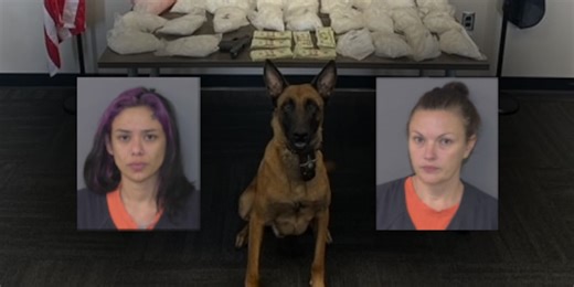 K9 finds 35lbs of meth at Union County traffic stop