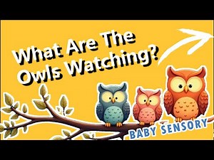 What are these cute owls watching Relaxing Calming Baby sensory