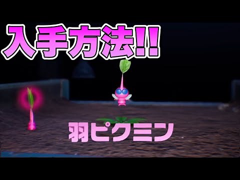 【ピクミン4】羽ピクミン入手方法!!
