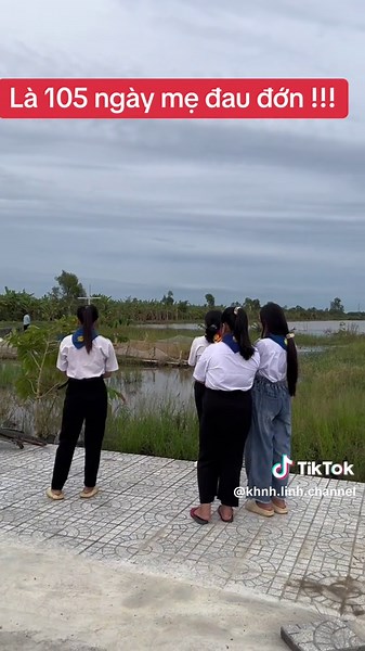 Khám Phá Cây Thuốc Nam Chữa Bệnh