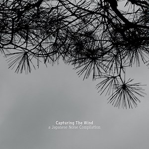 Various - Capturing The Wind, A Japanese Noise Compilation