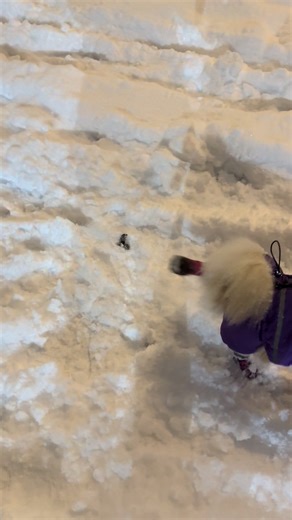 New York City Blizzard: A Recap of the Recent Snowstorm