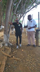 9.9K views · 147 reactions | Read more about Cover's Bar and Grill: https://kareemsquest.com/discovering-covers-bar-grill-in-portland/ #KareemsQuest #JamaicanFood #TravelBucketList #VisitJamaica #ExploreJamaica #Reels #ExplorePage | Kareem's Quest | Facebook