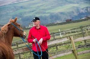 Could computer programme interpret horses' thoughts? - Horse & Hound