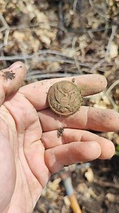 3.1K views · 6.9K reactions | On the trails of World War 2  #ww2 #metaldetecting #fire #buttons #usa #history #nature #discovery #soldier #world #italy | Italy Hunters Metal detecting | Facebook