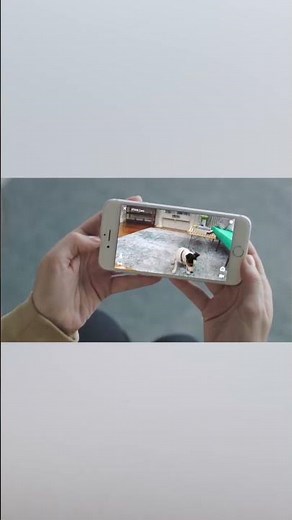 The Best Pet Cameras for 2026