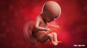 202K views · 2K reactions | Would love to hear someone from Planned Parenthood Action explain how the murder of a 26 week old baby is considered 'humane.' (via Live Action) | ForAmerica | Facebook